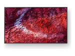 Bravia Professional Displays FW-85BZ40P BZ40P Series