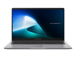 ExpertBook P1 P1503CVA-S71555XW