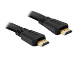 High Speed HDMI with Ethernet