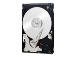 WD Black Performance Hard Drive WD2500BEKT