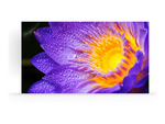 LD-EC181-162 LD-EC Series LED-videovägg
