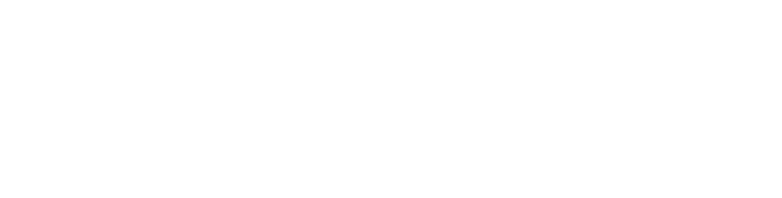 Vivicta